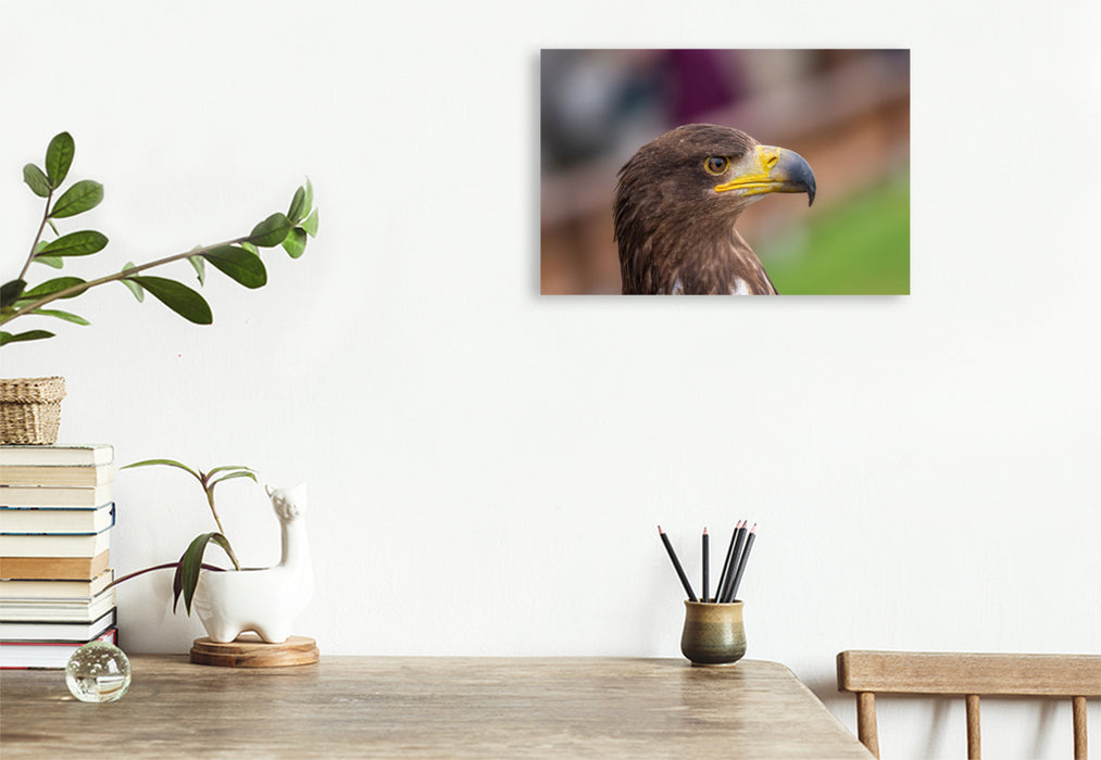 Premium Textil-Leinwand Adler. Porträt im Seitenprofil.