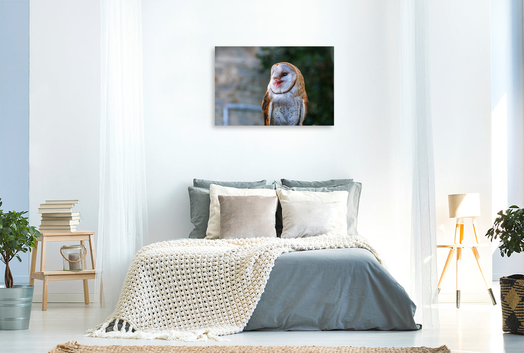 Premium Textil-Leinwand Schleiereule. Halbkörperansicht.