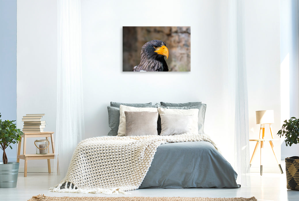 Premium Textil-Leinwand Riesenseeadler. Seitenprofil.