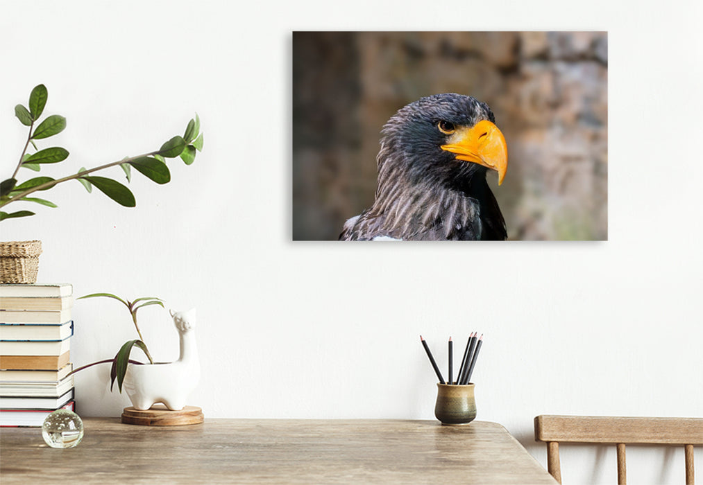 Premium Textil-Leinwand Riesenseeadler. Seitenprofil.