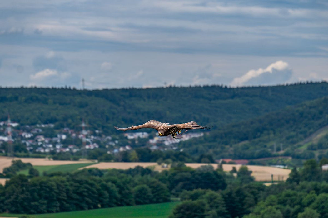 Premium Textil-Leinwand Patrouillenflug über der herbstlichen Tallandschaft