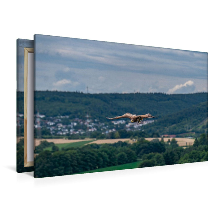 Premium Textil-Leinwand Patrouillenflug über der herbstlichen Tallandschaft