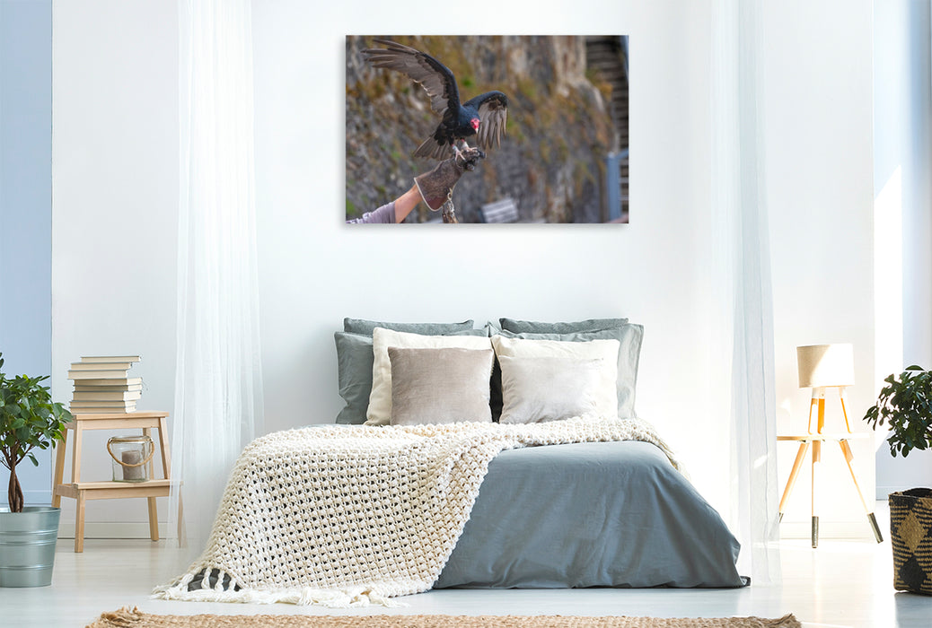 Premium Textil-Leinwand Winterliche Rast auf der Falknerfaust