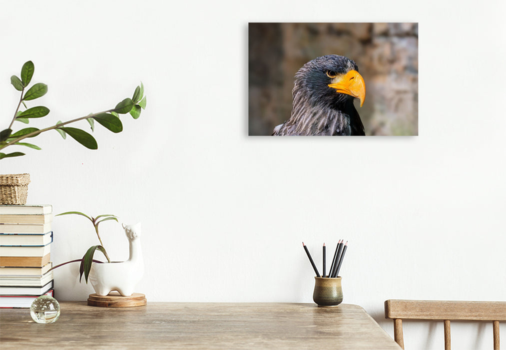 Premium Textil-Leinwand Riesenseeadler. Seitenprofil.