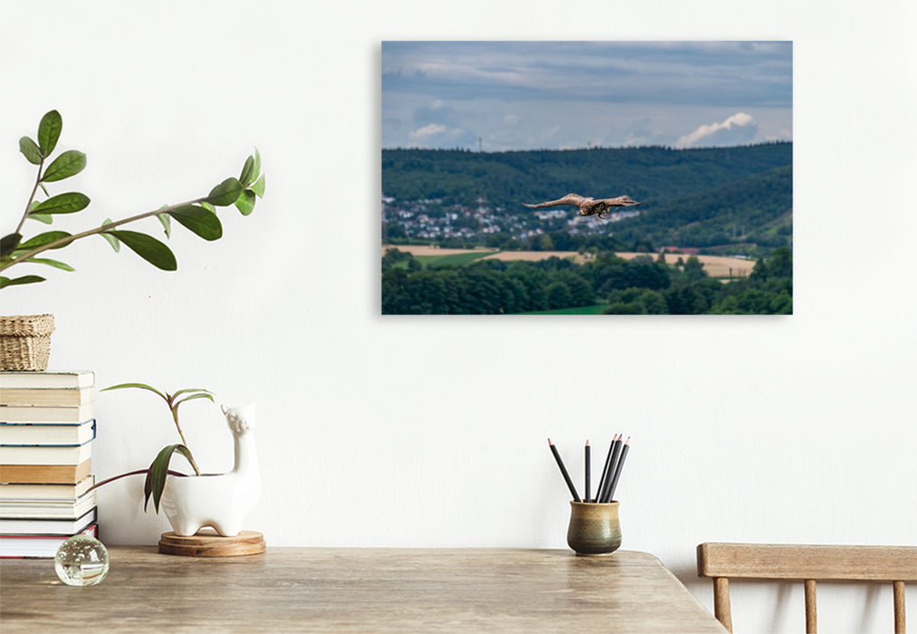 Premium Textil-Leinwand Patrouillenflug über der herbstlichen Tallandschaft
