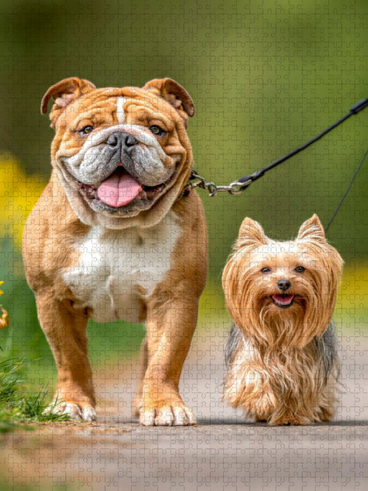 Ein gemeinsamer Spaziergang macht Spaß - CALVENDO Foto-Puzzle'