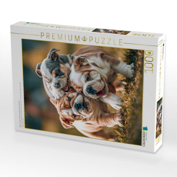 Haha, ich hab sie beide und bin doch der Kleinste - CALVENDO Foto-Puzzle'