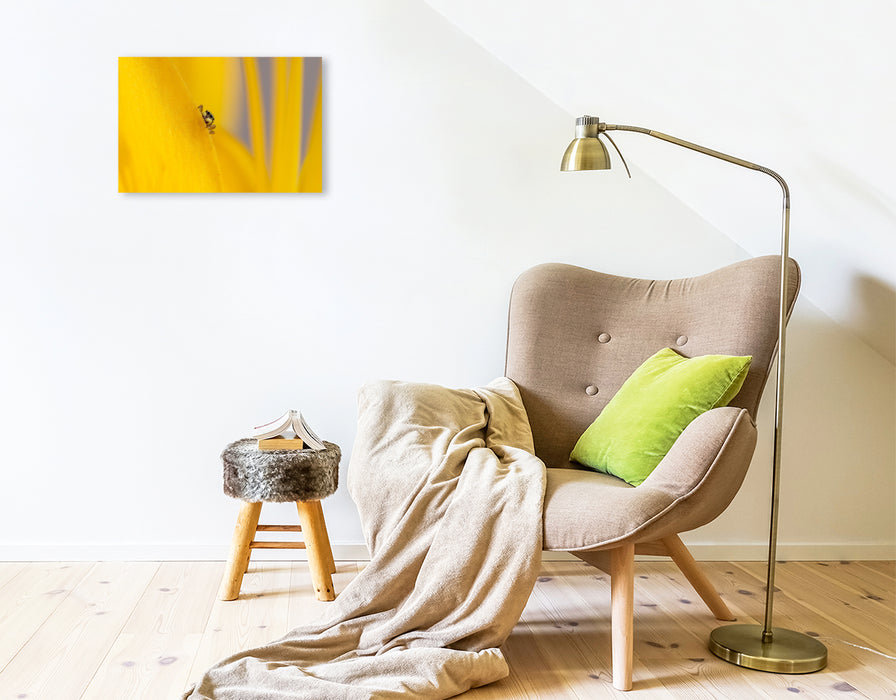 Premium Textil-Leinwand Ein Motiv aus dem Kalender Die faszinierende Welt der Insekten