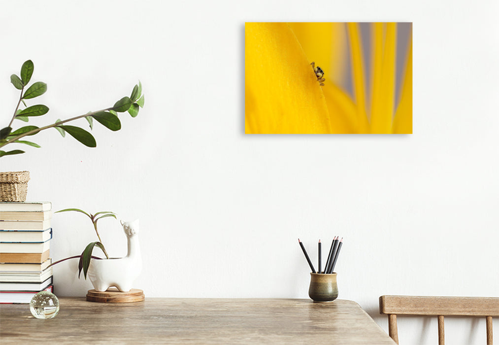 Premium Textil-Leinwand Ein Motiv aus dem Kalender Die faszinierende Welt der Insekten