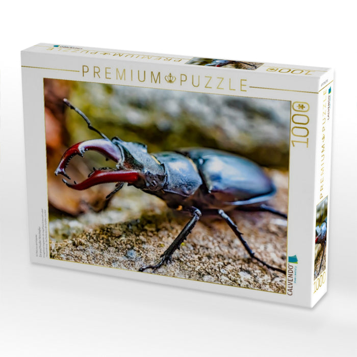 Ein prachtvoller Hirschkäfer - CALVENDO Foto-Puzzle'
