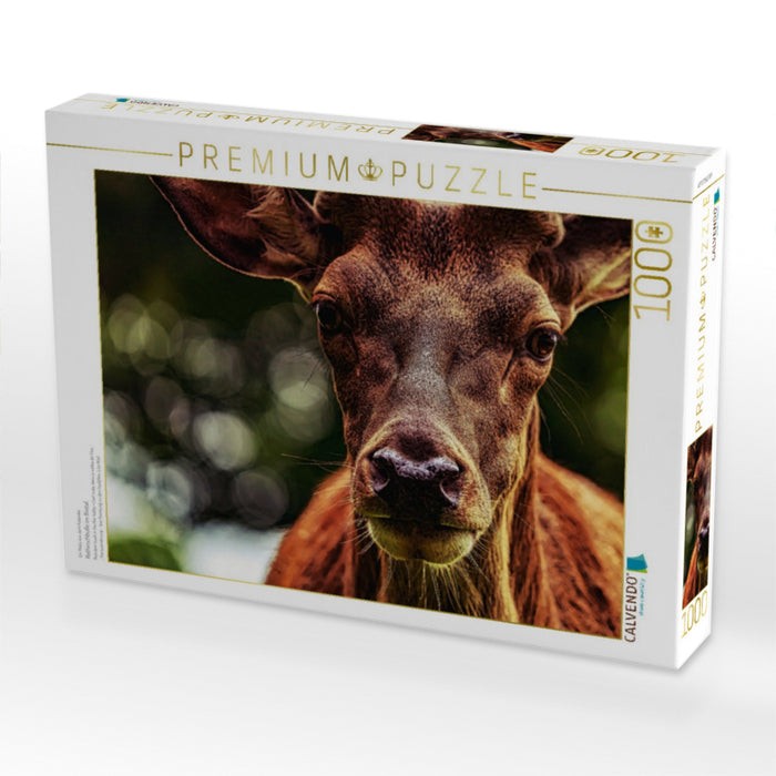 Rothirschbulle im Ilsetal - CALVENDO Foto-Puzzle'