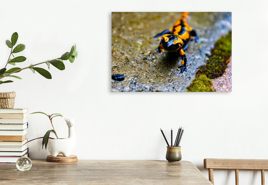 Premium Textil-Leinwand Feuersalamander