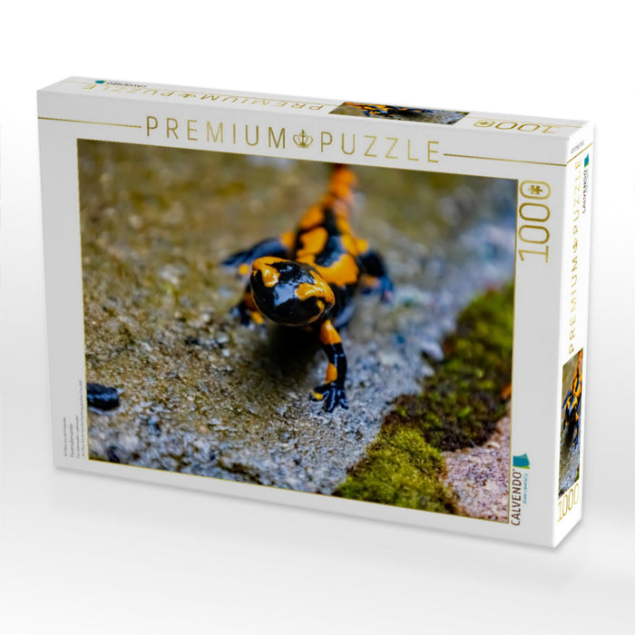 Feuersalamander - CALVENDO Foto-Puzzle'