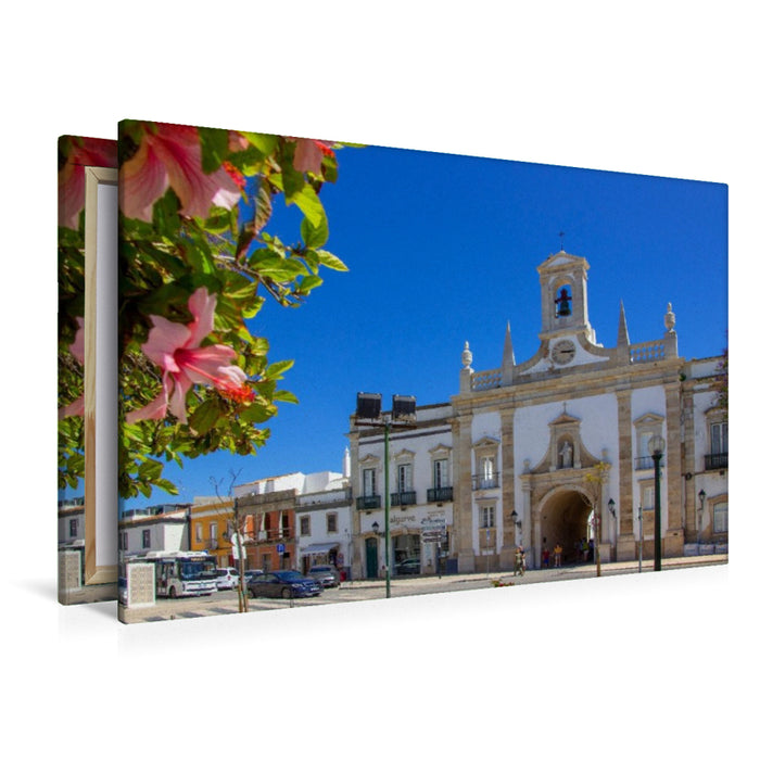 Premium Textil-Leinwand Hibiskusblüten am neoklassizistischen Stadttor