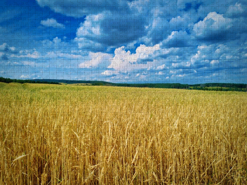 Ruhe, Duft, Weite, Rennsteiggefühl. - CALVENDO Foto-Puzzle'