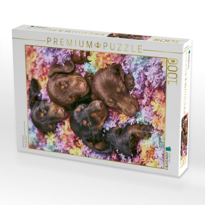 Glück blüht überall - CALVENDO Foto-Puzzle'