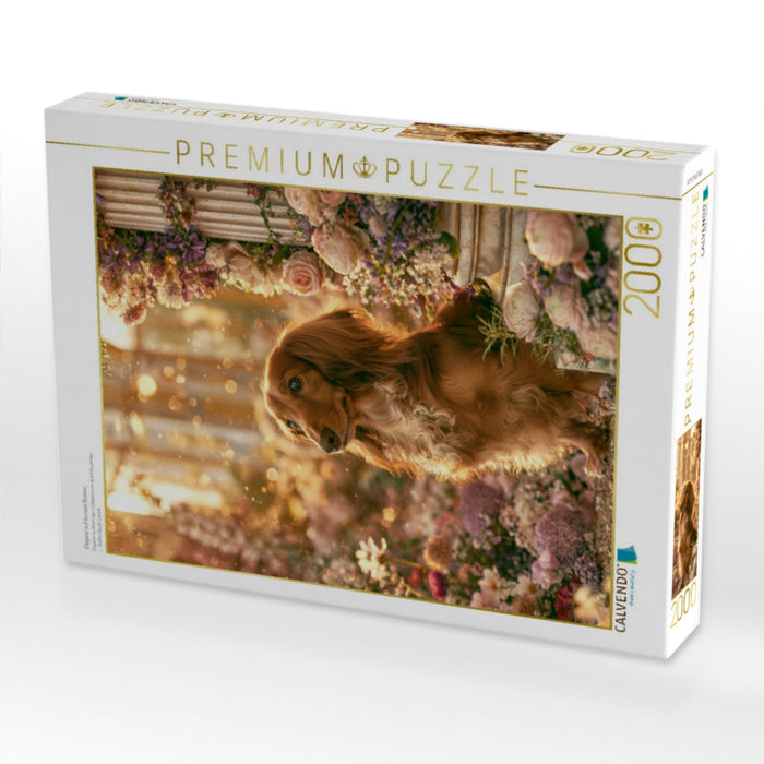 Eleganz auf kurzen Beinen - CALVENDO Foto-Puzzle'