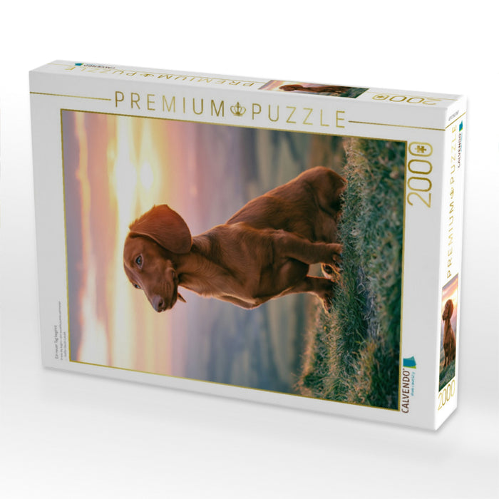 Ein neuer Tag beginnt - CALVENDO Foto-Puzzle'