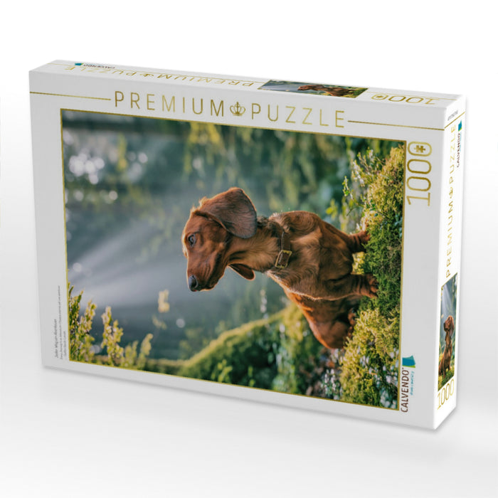 Jeder Weg ein Abenteuer - CALVENDO Foto-Puzzle'