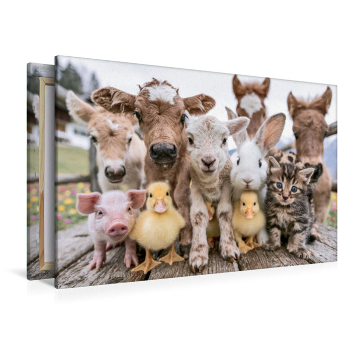 Premium Textil-Leinwand Ein Motiv aus dem Kalender Bauernhofzauber
