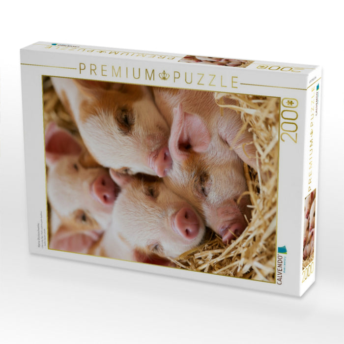 Kleine Glücksschweine - CALVENDO Foto-Puzzle'