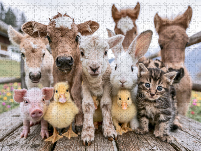 Ein Motiv aus dem Kalender Bauernhofzauber - CALVENDO Foto-Puzzle'