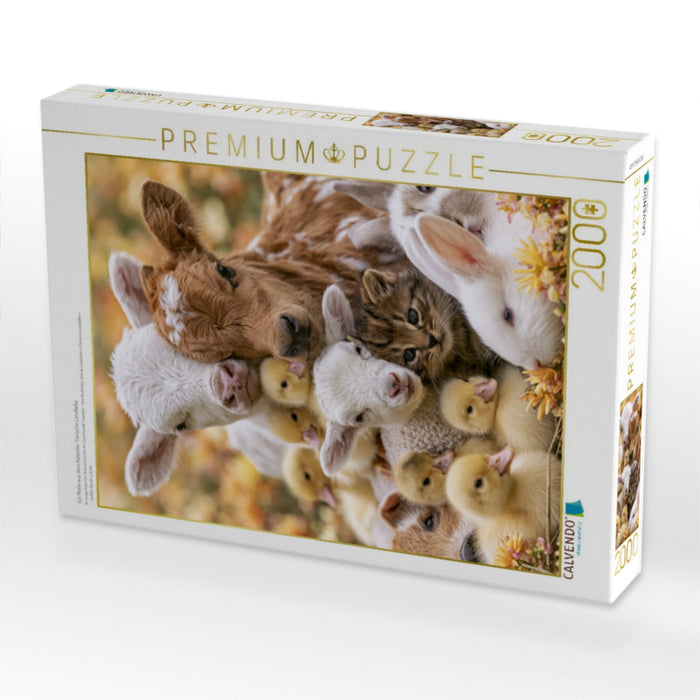 Ein Motiv aus dem Kalender Tierische Landliebe - CALVENDO Foto-Puzzle'