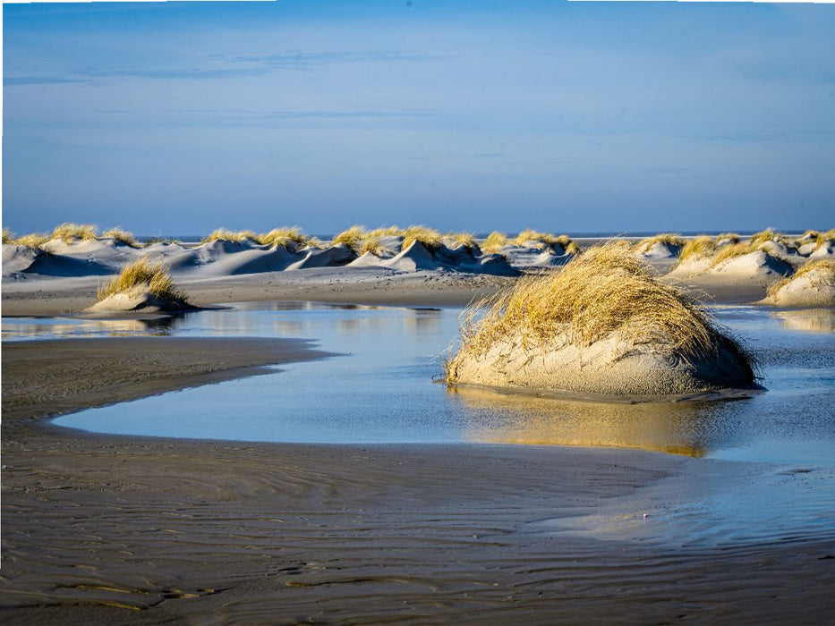 Dünenlandschaft - CALVENDO Foto-Puzzle'