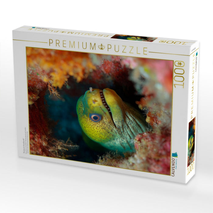 Muräne im Korallenriff - CALVENDO Foto-Puzzle'