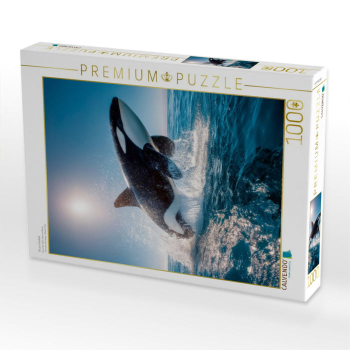 Orca in Freiheit - CALVENDO Foto-Puzzle'