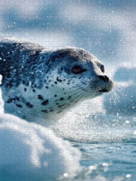 Begegnung mit einer Robbe im Polarmeer - CALVENDO Foto-Puzzle'