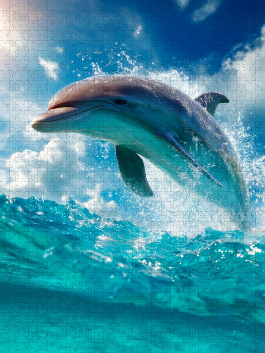 Verspielter Delfin - CALVENDO Foto-Puzzle'