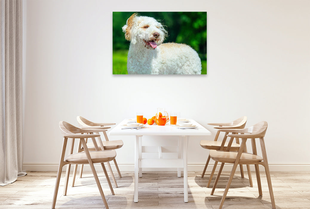 Premium Textil-Leinwand Ein Motiv aus dem Kalender Lagotto Romagnolo - die Trüffelsucher Italiens
