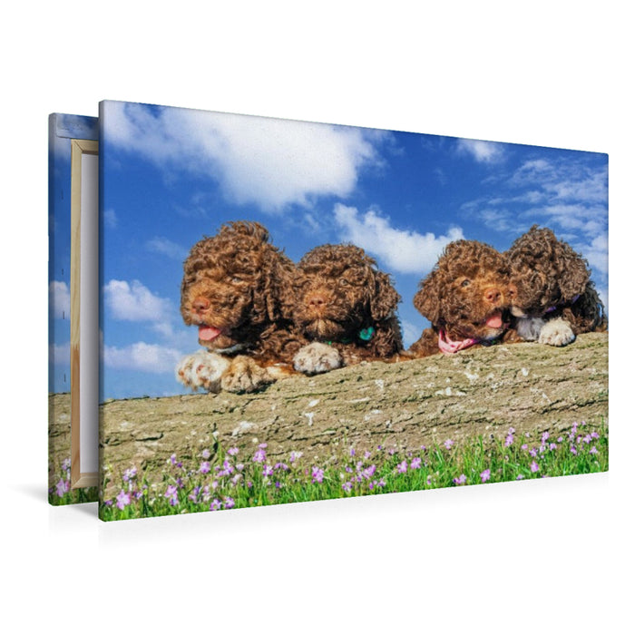 Premium Textil-Leinwand Kleine Weltentdecker