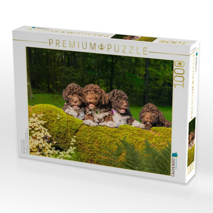 Der Herbst ist bald da - CALVENDO Foto-Puzzle'