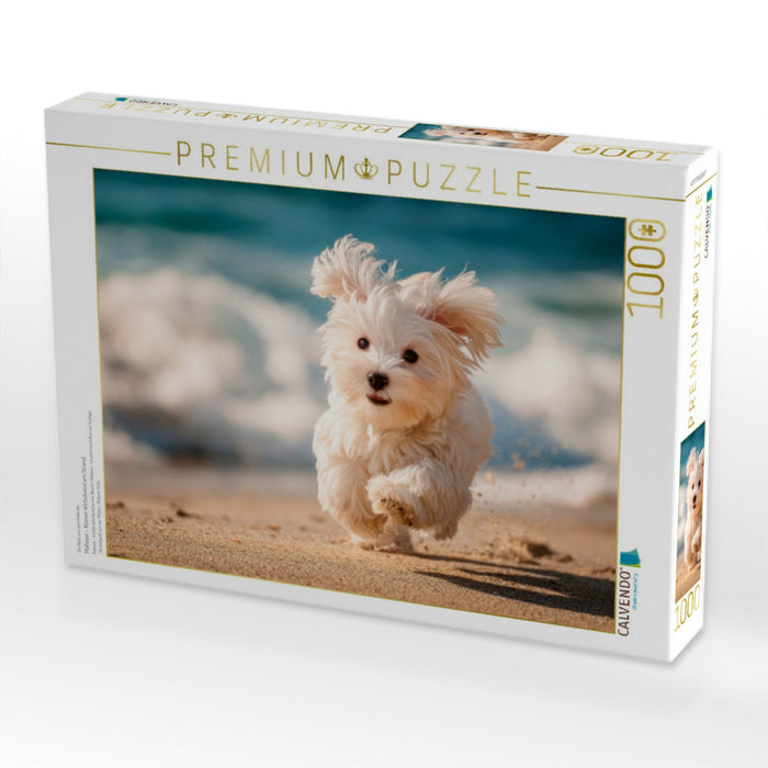 Malteser - Kleiner Wirbelwind am Strand - CALVENDO Foto-Puzzle'