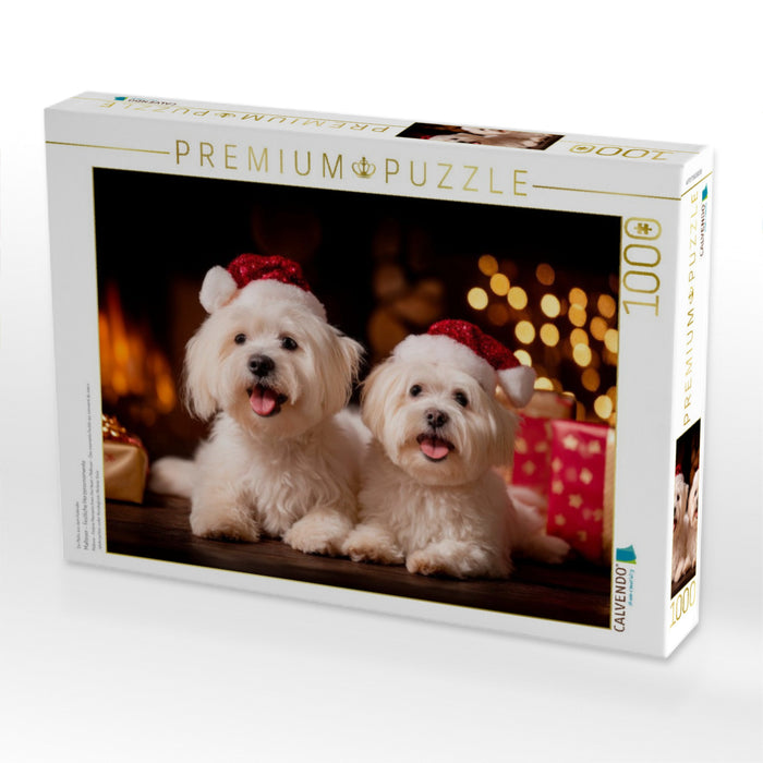 Malteser - Festliche Herzensmomente - CALVENDO Foto-Puzzle'