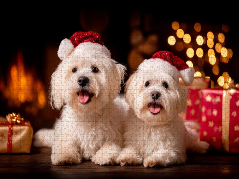 Malteser - Festliche Herzensmomente - CALVENDO Foto-Puzzle'