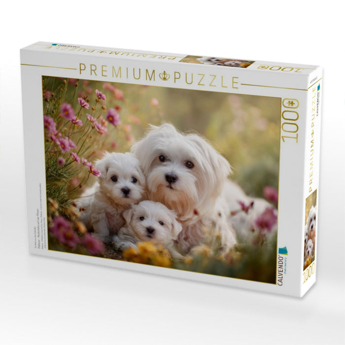 Malteser - Mutterliebe auf vier Pfoten - CALVENDO Foto-Puzzle'