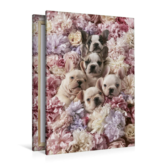 Premium Textil-Leinwand Ein Motiv aus dem Kalender Ein Herz für Buldoggen