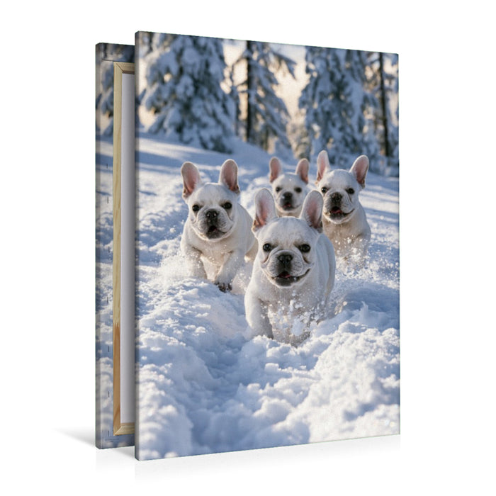 Premium Textil-Leinwand Ein Motiv aus dem Kalender Ein Herz für Buldoggen