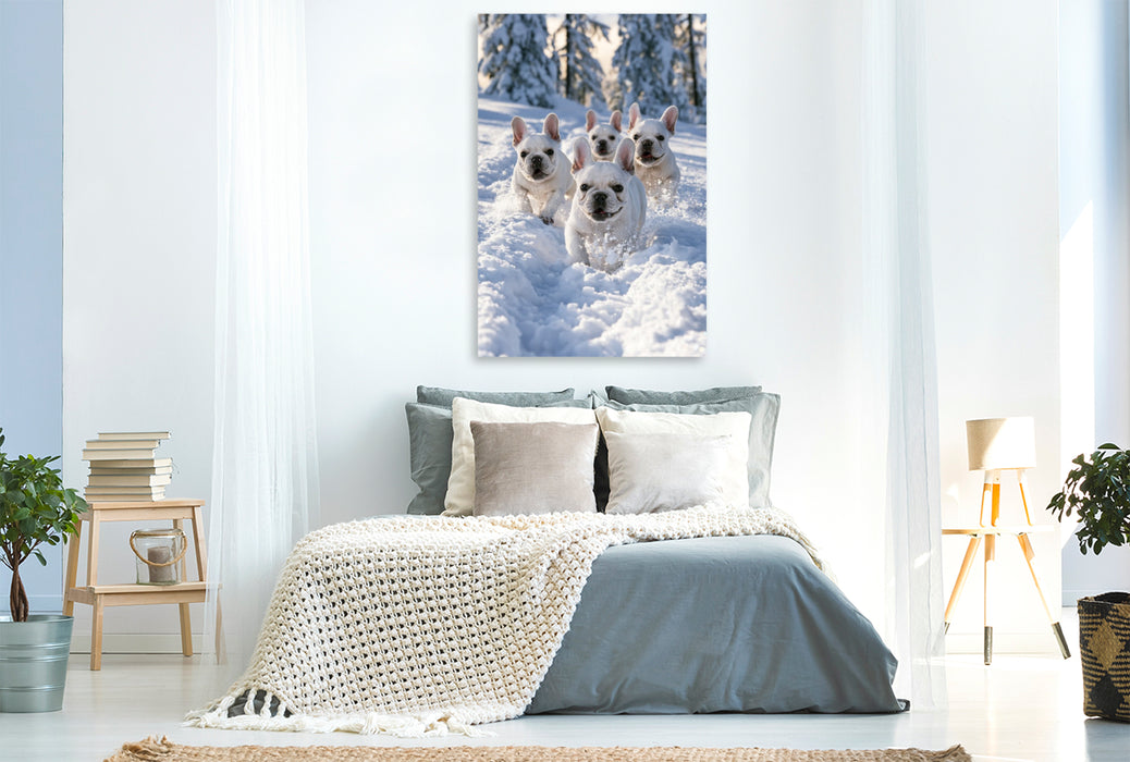 Premium Textil-Leinwand Ein Motiv aus dem Kalender Ein Herz für Buldoggen
