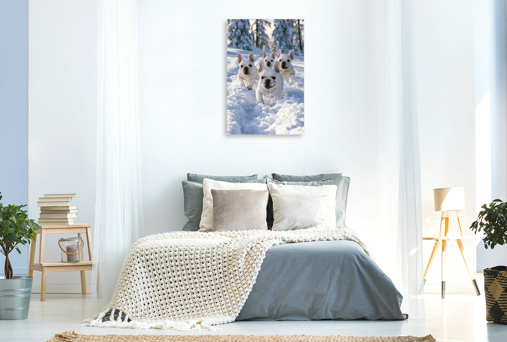 Premium Textil-Leinwand Ein Motiv aus dem Kalender Ein Herz für Buldoggen