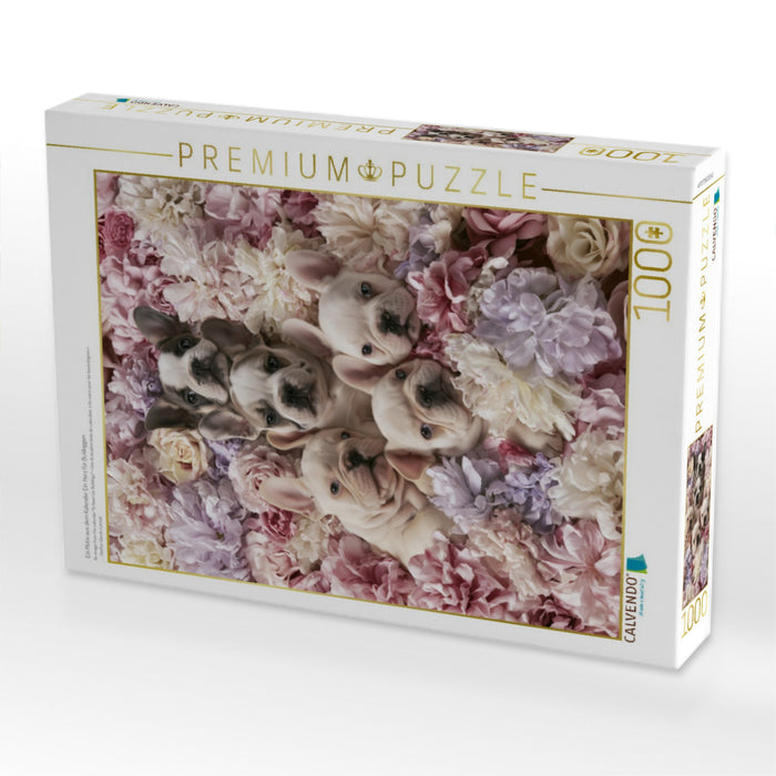 Ein Motiv aus dem Kalender Ein Herz für Buldoggen - CALVENDO Foto-Puzzle'