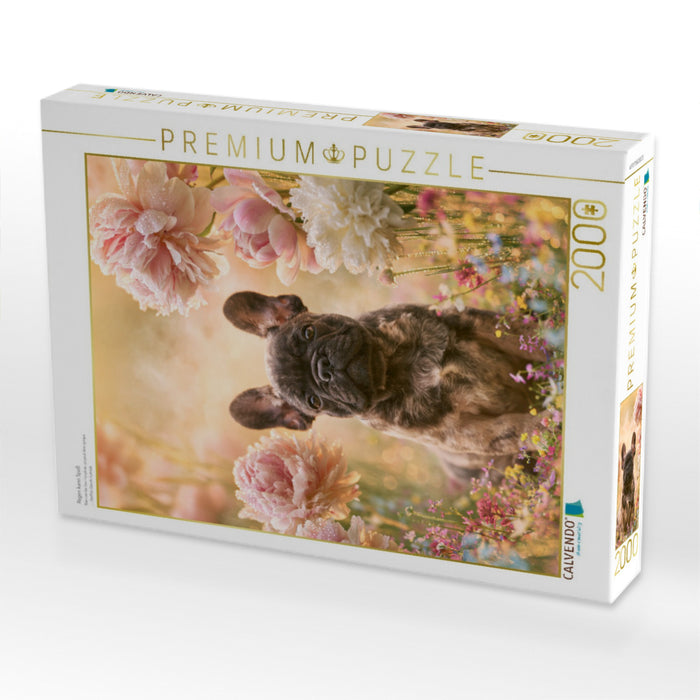 Regen kann Spaß - CALVENDO Foto-Puzzle'