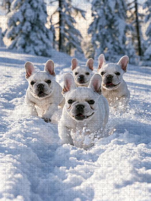 Ein Motiv aus dem Kalender Ein Herz für Buldoggen - CALVENDO Foto-Puzzle'