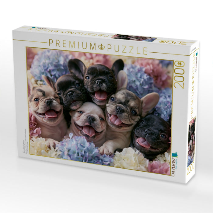 Kleine Glückspfoten - CALVENDO Foto-Puzzle'