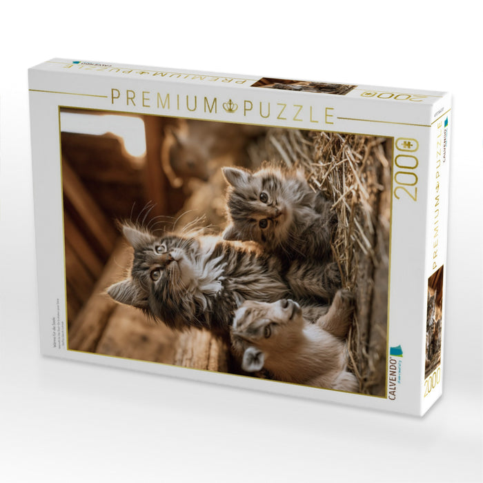 Wärme für die Seele - CALVENDO Foto-Puzzle'