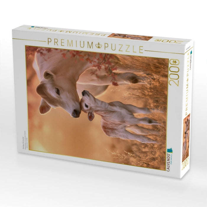 Ein Herz für immer - CALVENDO Foto-Puzzle'