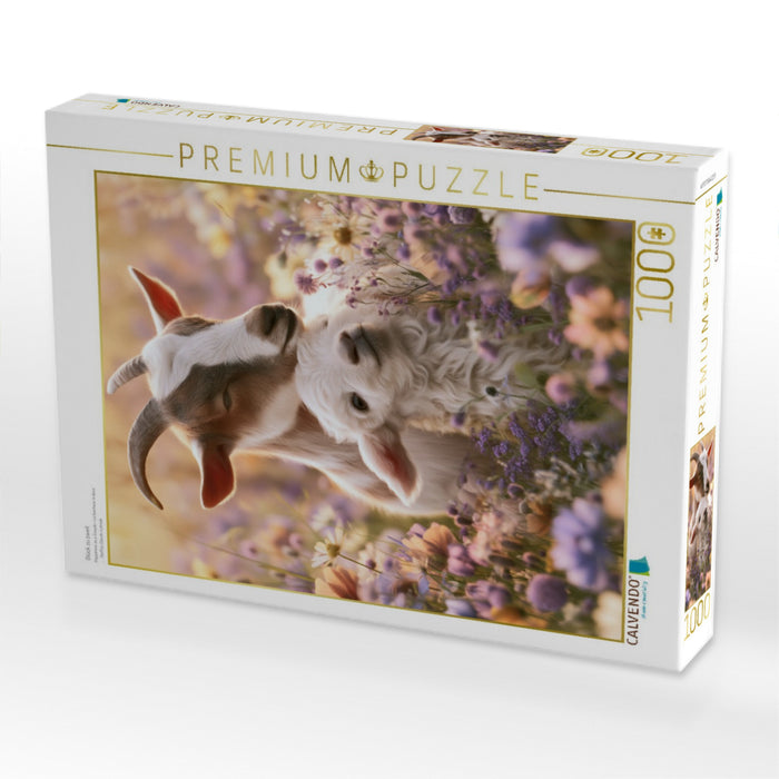 Glück zu zweit - CALVENDO Foto-Puzzle'